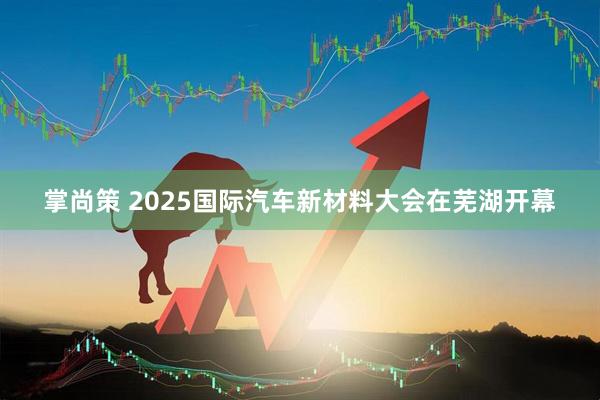 掌尚策 2025国际汽车新材料大会在芜湖开幕