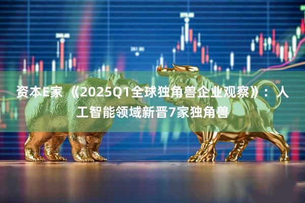 资本E家 《2025Q1全球独角兽企业观察》：人工智能领域新晋7家独角兽