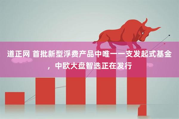 道正网 首批新型浮费产品中唯一一支发起式基金，中欧大盘智选正在发行