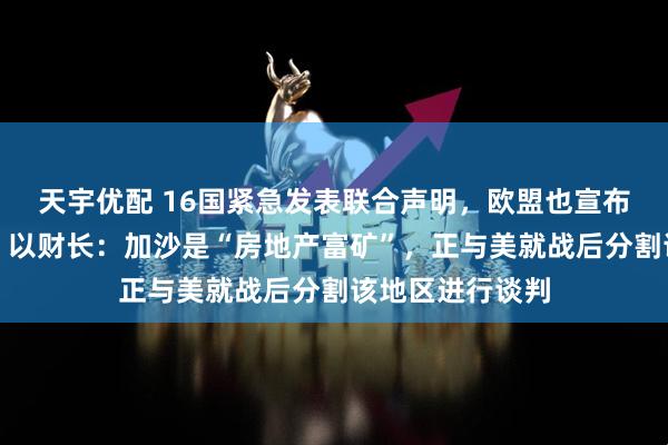 天宇优配 16国紧急发表联合声明，欧盟也宣布：制裁以色列！以财长：加沙是“房地产富矿”，正与美就战后分割该地区进行谈判