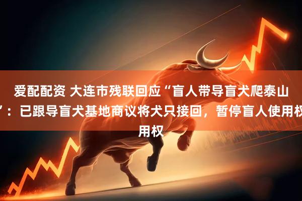 爱配配资 大连市残联回应“盲人带导盲犬爬泰山”：已跟导盲犬基地商议将犬只接回，暂停盲人使用权