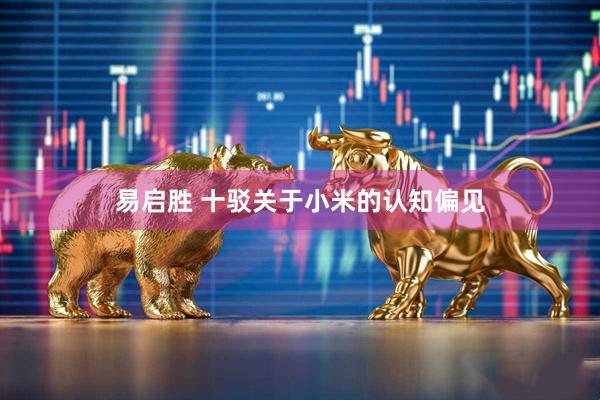 易启胜 十驳关于小米的认知偏见