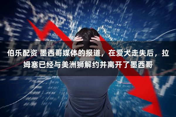 伯乐配资 墨西哥媒体的报道，在爱犬走失后，拉姆塞已经与美洲狮解约并离开了墨西哥