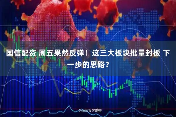 国信配资 周五果然反弹！这三大板块批量封板 下一步的思路？